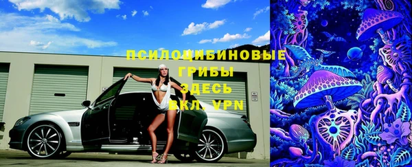 круглые Алексеевка