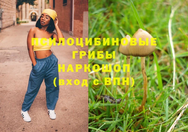 2c-b Абинск