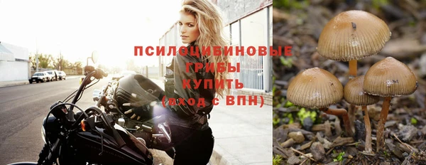 меф Алзамай